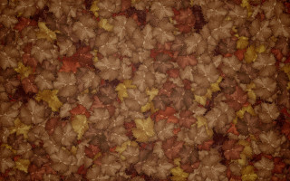 Colorful leaves flowers autumn pokemon - colorful free wallpaper