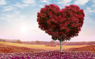 Heart tree flower field sky - affinity photo free wallpaper