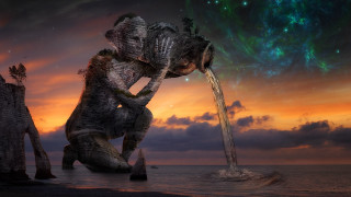 Elephant drinking water sunset colorful - a colorful sky free wallpaper