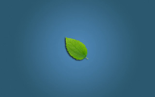 Green leaf blue surface light - a light reflection free wallpaper