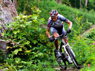 Man bike dirt road woods - clear focus free wallpaper