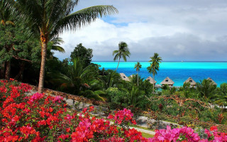 Tropical resort ocean palm flowers - impressionist free wallpaper