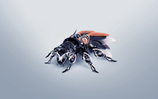 Insect sculptures table gray surface - a gray surface free wallpaper