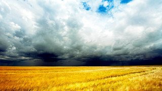 Grass train cloudy sky stormy - stormy weather free wallpaper