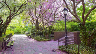 Enchanted park bench lamp post - ashcan school free wallpaper