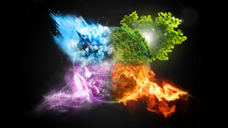 Colored plants black background group - colored free wallpaper