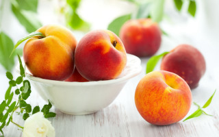 Peach bowl flower leaf orange - orange free wallpaper