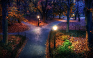 Park pathway night lights autumn - evgeny lushpin free wallpaper