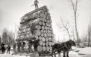 Man horse carriage log snow - a wagon free wallpaper