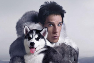 Man holding husky surprised mountain - a husky dog free wallpaper