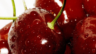 Cherry water droplets macro photography - a close up of a bunch free wallpaper