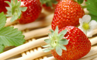Strawberry leaves flowers basket macro - impressionism free wallpaper