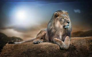 Lion rock sky cloud sun - a bright sun in the sky free wallpaper
