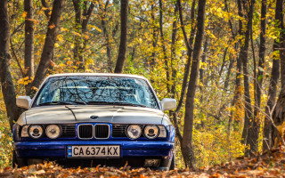 Blue white car woods autumn - car free wallpaper