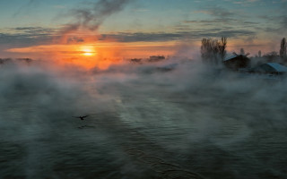 Bird water sunset mist city - over a body of water free wallpaper