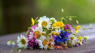 Wildflowers bouquet wooden table sunlight - outside free wallpaper