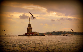 Birds lighthouse cityscape matte cinematic - a flock of birds free wallpaper
