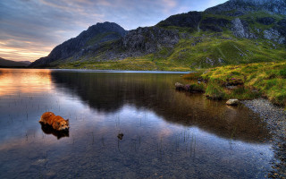 Dog water mountains sunset reflection - the water near a mountain range free wallpaper