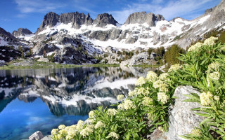 Mountain lake flower forest sky 2 - the foreground and a snow free wallpaper
