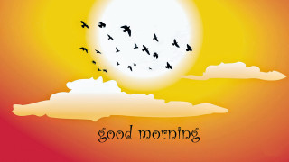 Flock birds sunset good morning - below free wallpaper