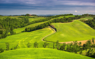 Green field winding path trees - a green field free wallpaper