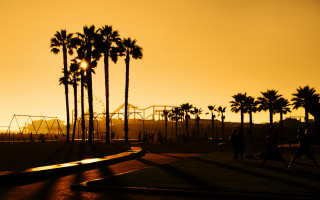 Sunset palm trees rollercoaster group - ben thompson free wallpaper