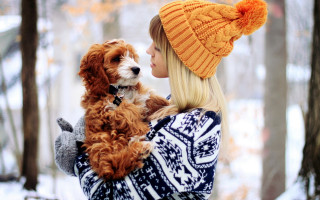 Woman dog snow forest blonde - a photo free wallpaper