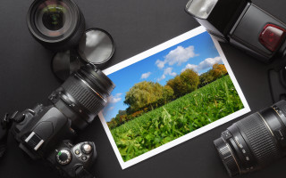 Camera field trees grass lens - format print free wallpaper