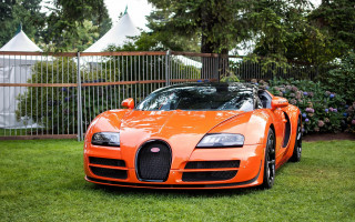 Orange car fence flowers park - nice free wallpaper