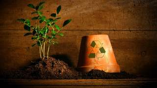 Plant dirt trash recycle solarpunk - solarpunk free wallpaper