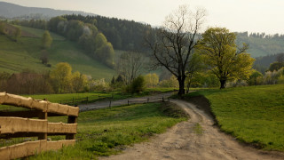 Dirt road green countryside tree - a wooden fence free wallpaper