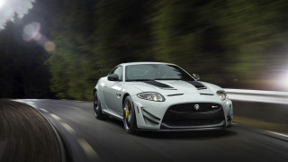 White car forest night headlights - excessivism free wallpaper