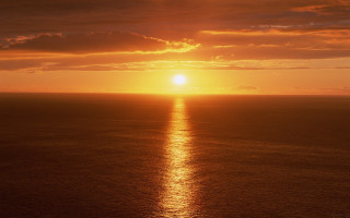 Sunset ocean boat bird dusk - the water and a bird free wallpaper
