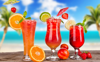 Beach palm tropical juice fruit 2 - palm tree free wallpaper