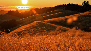Autumn sunset trees mountains water - golden free wallpaper