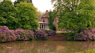 House pond trees gazebo nature - a pond and trees free wallpaper