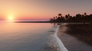 Beach sunset palm trees water 4 - the background and a body of water free wallpaper