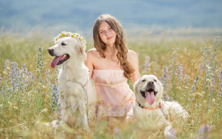 Girl dogs flower field sky - two dog free wallpaper