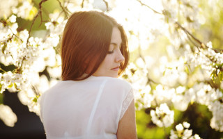 Araceli gilbert spring floral portrait - white flower free wallpaper