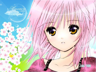 Pink hair yellow eyes flower - anime art free wallpaper
