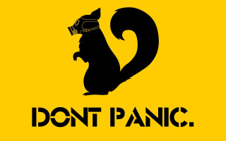 Black squirrel helmet dont panic 2 - verdadism free wallpaper
