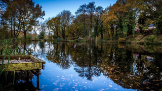 Lake boat forest house autumn - impressionist free wallpaper