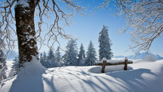 Snowy woodland bench mountain trees - german romanticism free wallpaper