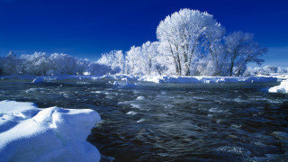 Winter river ice snow trees - ice and snow free wallpaper