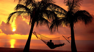 Beach sunset hammock palm trees - sunset free wallpaper