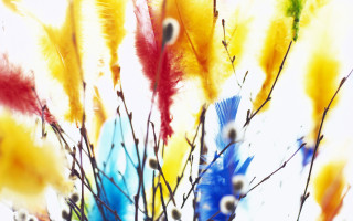Feather vase autumn leaves fire - a vase free wallpaper