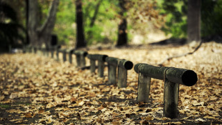Metal pipes leaves forest bokeh - depth of field free wallpaper