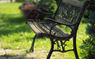 Artsy bench grass bush tiltshift - near free wallpaper