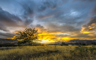 Tree field sunset clouds mountains - a sunset in the background free wallpaper