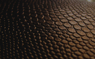 Brown surface circles texture blurry - texture free wallpaper